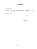 Nghiên cứu giải pháp xử lý nền đất yếu trên tuyến đê la giang, tỉnh hà tĩnh đoạn từ k17+000 đến k19+100 