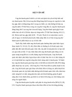 Nghiên cứu hình thái lâm sàng và chỉ định phẫu thuật bảo tồn của ung thư thanh quản tầng thanh môn 