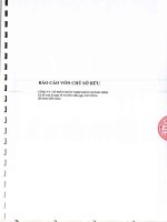 BÁO CÁO VỐN CHỦ SỞ HỮU CÔNG TY CỔ PHẦN XUẤT NHẬP KHẨU QUẢNG BÌNH 2016