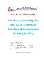 Khảo sát sự sinh trưởng, phát triển của lan DendrobiumSonia bằng phương pháp nuôi cấy quang tự dưỡng