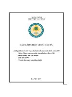 BÁO CÁO CHIẾN LƯỢC ĐẦU TƯ THỊ TRƯỜNG CHỨNG KHOÁN NẮM 2019