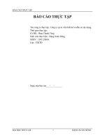 BÁO CÁO THỰC TẬPTên công ty thực tập : Công ty cp tư vấn thiết kế và đầu tư xây dựng