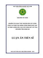  Nghiên cứu khai thác nguồn gen cây vừng phục vụ chọn tạo giống vừng năng suất hạt và hàm lượng dầu cao cho vùng đất cát pha ven biển tỉnh Nghệ An