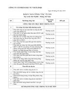 Mau bao cao tuan bich 