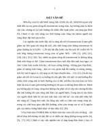 Bước đầu đánh giá tác dụng của viên nang hải mã nhân sâm trên bệnh nhân mãn dục nam 