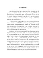 Đánh giá kết quả điều trị ung thư biểu mô tế bào gan bằng đốt sóng cao tần có sử dụng bơm dịch ổ bụng hoặc dịch màng phổi tại khoa tiêu hóa, bệnh viện bạch mai 