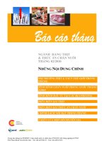 Báo cáo tháng NGÀNH  HÀNG THỊT  & THỨC ĂN CHĂN NUÔI THÁNG 02/2010