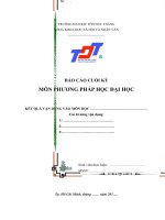 Mau bao cao cuoi ky PPHDH 