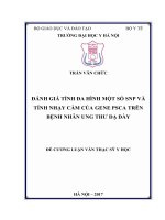 ĐÁNH GIÁ TÍNH đa HÌNH một số SNP và TÍNH NHẠY cảm của GENE PSCA TRÊN BỆNH NHÂN UNG THƯ dạ dày 