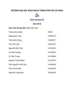 báo cáo đại số chủ đề 8, TRƯỜNG ĐẠI HỌC BÁCH KHOA THÀNH PHỐ HỒ CHÍ MINH