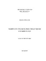 Nghiên cứu ứng dụng phẫu thuật nội soi cắt khối tá tụy ( FULL TEXT)