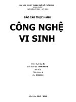 BÁO CÁO THỰC HÀNH CÔNG NGHỆ VI SINH