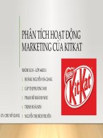 PHÂN TÍCH HOẠT ĐỘNG MAKETING CỦA CÔNG TY BÁNH KẸO KITKAT