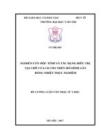 NGHIÊN cứu độc TÍNH và tác DỤNG điều TRỊ tại CHỖ của CH 1701 TRÊN mô HÌNH gây BỎNG NHIỆT THỰC NGHIỆM 