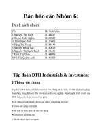 BÁO CÁO Phân tích một số nghiệp vụ bất thường trong kỳ TẠI Tập đoàn DTH Industrials & Investment