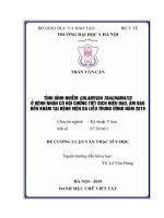 TÌNH HÌNH NHIỄM CHLAMYDIA TRACHOMATIS ở BỆNH NHÂN có hội CHỨNG TIẾT DỊCH NIỆU đạo, âm đạo đến KHÁM tại BỆNH VIỆN DA LIỄU TRUNG ƯƠNG năm 2019 