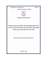 ĐÁNH GIÁ kết QUẢ điều TRỊ VIÊM điểm bám gân lồi cầu NGOÀI XƯƠNG CÁNH TAY BẰNG LIỆU PHÁP TIÊM COLLAGEN MD GUNA tại CHỖ 