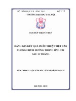 ĐÁNH GIÁ kết QUả PHẫU THUậT TIệT căn XƯƠNG CHŨM ĐƯờNG TRONG ốNG TAI SAU 12 THÁNG 