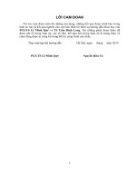 Nghiên cứu ứng xử cơ học vật liệu hai chiều và kết cấu silicon làm cực âm ắc quy ion lithium 