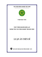 Luận Văn Phát triển nguồn nhân lực ngành tiểu thủ công nghiệp tỉnh Bắc Ninh