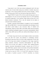 Đánh giá kết quả hoá xạ trị đồng thời phác đồ paclitaxel  carboplatin trong ung thư phổi không tế bào nhỏ giai đoạn IIIB tại bệnh viện k tt tiếng anh 