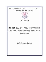 NGHIÊN cứu GIẢI PHẪU các vạt MẠCH XUYÊN cơ BỤNG CHÂN và ĐỘNG MẠCH gối XUỐNG 