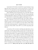 Đánh giá kết quả hoá xạ trị đồng thời phác đồ paclitaxel  carboplatin trong ung thư phổi không tế bào nhỏ giai đoạn IIIB tại bệnh viện k tt 