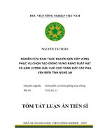 Nghiên cứu khai thác nguồn gen cây vừng phục vụ chọn tạo giống vừng năng suất hạt và hàm lượng dầu cao cho vùng đất cát pha ven biển tỉnh nghệ an tt 