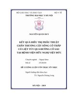 KẾT QUẢ điều TRỊ PHẪU THUẬT CHẤN THƯƠNG cột SỐNG CỔ THẤP có LIỆT tủy QUA ĐƯỜNG cổ SAU tại BỆNH VIỆN hữu NGHỊ VIỆT đức 