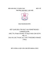 KẾT QUẢ điều TRỊ bước HAI PEMETREXED   CARBOPLATIN UNG THƯ PHỔI KHÔNG tế bào NHỎ GIAI đoạn IIIB, IV SAU KHÁNG THUỐC ức CHẾ TYROSINE KYNASE (TKIs) 