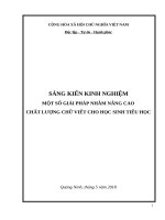 skkn một số GIẢI PHÁP NHẰM NÂNG CAO CHẤT LƯỢNG CHỮ VIẾT CHO học SINH TIỂU HỌC 