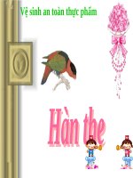 chất bảo quản trong sản xuất thực phẩm