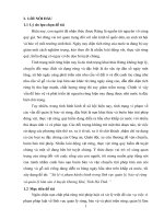 Xử lý vi phạm hành chính trong lĩnh vực quản lý, bảo vệ rừng và quản lý lâm sản ở huyện hương khê, hà tĩnh