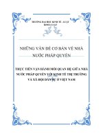 TIỂU LUẬN THỰC TIỄN vận HÀNH mối QUAN hệ GIỮA NHÀ nước PHÁP QUYỀN với KINH tế THỊ TRƯỜNG và xã hội dân sự ở VIỆT NAM