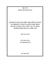 ĐÁNH GIÁ kết QUẢ điều TRỊ VIÊM gân dài cơ NHỊ đầu CÁNH TAY BẰNG LIỆU PHÁP HUYẾT TƯƠNG GIÀU TIỂU cầu tự THÂN dưới HƯỚNG dẫn của SIÊU âm 
