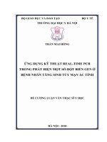 ỨNG DỤNG kỹ THUẬT REAL TIME PCR TRONG PHÁT HIỆN một số đột BIẾN GEN ở BỆNH NHÂNTĂNG SINH tủy mạn ác TÍNH 