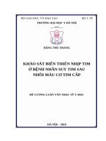 ỨNG DỤNG tán sỏi QUA DA ĐƯỜNG hầm NHỎ điều TRỊ sỏi NIỆU QUẢN 13 TRÊN tại BỆNH VIỆN đại học y hà nội 