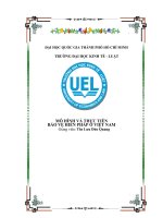 Tiểu luận mô hình và thực tiễn bảo vệ hiến pháp việt nam