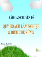 Báo cáo thuyết trình Quy hoạch lâm nghiệp và điều chế rừng môn Lâm nghiệp đại cương