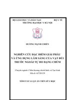 Nghiên cứu đặc điểm giải phẫu và ứng dụng lâm sàng của vạt đùi trước ngoài tự do dạng chùm tt