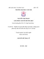 Nghiên cứu giải phẫu động mạch thận và động mạch phân thùy thận trên hình ảnh chụp CLVT 128 dãy 