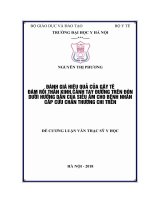 ĐÁNH GIÁ HIỆU QUẢ của gây tê đám rối THẦN KINH CÁNH TAY ĐƯỜNG TRÊN đòn dưới HƯỚNG dẫn của SIÊU âm CHO BỆNH NHÂN cấp cứu CHẤN THƯƠNG CHI TRÊN 