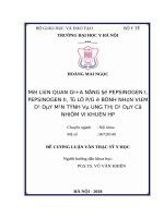 MỐI LIÊN QUAN GIỮA NỒNG độ PEPSINOGEN i, PEPSINOGEN II, tỷ lệ PG ở BỆNH NHÂN VIÊM dạ dày mạn TÍNH và UNG THƯ dạ dày có NHIỄM VI KHUẨN HP 