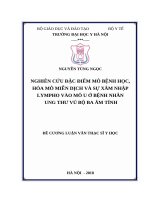 NGHIÊN cứu đặc điểm mô BỆNH học, hóa mô MIỄN DỊCH và sự xâm NHẬP LYMPHO vào mô u ở BỆNH NHÂN UNG THƯ vú bộ BA âm TÍNH 
