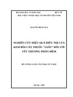 NGHIÊN cứu HIỆU QUẢ điều TRỊ của KEM bôi cây THUỐC “GIẤU” đối với vết THƯƠNG PHẦN mềm 