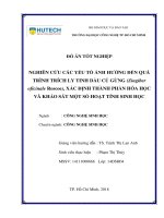 Nghiên cứu các yếu tố ảnh hưởng đến quá trình trích ly tinh dầu củ gừng (zingiber officinale roscoe), xác định thành phần hóa học và khảo sát một số hoạt tính sinh học 