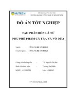Tạo phân bón lá từ phụ phế phẩm cá tra và vỏ dứa 