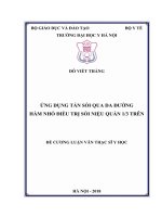 ỨNG DỤNG tán sỏi QUA DA ĐƯỜNG hầm NHỎ điều TRỊ sỏi NIỆU QUẢN 13 TRÊN 