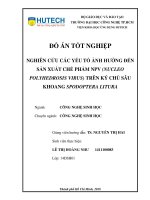 Nghiên cứu các yếu tố ảnh hưởng đến sản xuất chế phẩm NPV (nucleo polyherosis) trên ký chủ sâu khoang spodoptera litura 
