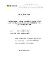 Thiết lập quy trình phá vách bào tử nấm linh chi ganoderma lucidum kết hợp với enzyme và siêu âm 